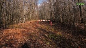 Указатели в Красноглинском лесу: где их разместили и зачем