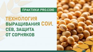 Технология выращивания сои. Сев, защита от сорняков | Практики PRO.СОЮ