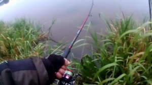 Раздача Жереха в октябре. Неман.