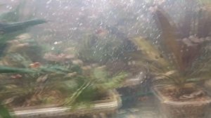 Знать каждому зрителю этого канала!Почему Крутой?