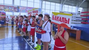 Межрегиональный турнир по боксу
