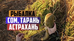 Утренняя рыбалка на Волге в Астрахани. Ловля сомов, тарань, карась на спиннинг осенью с берега.
