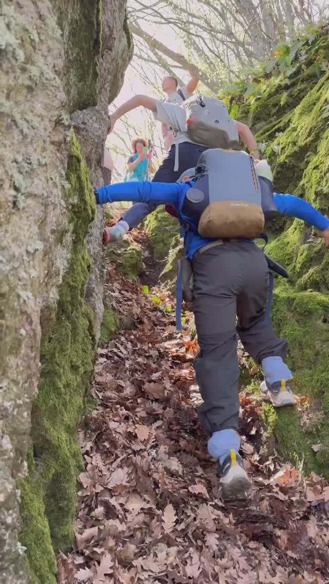 Какой он? поход в Сербии? гора Пасьяча. #поход #туризм #горы #неведомыетропы смотреть онлайн