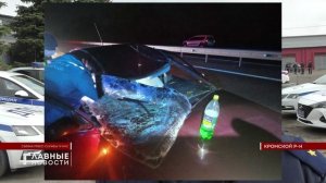 Столкновение с лосем на трассе М-2 минувшей ночью закончилось травмами для двух человек.