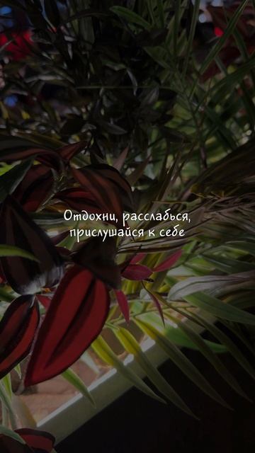 Ты не устал. Ты просто слишком долго игнорировал себя