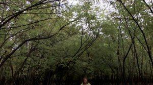 Ростов исторический: зарождение верхней Александровки