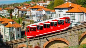 Поезда для детей. Учим железнодорожный транспорт. Виды локомотивов