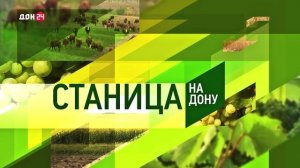 Станица-на-Дону 07.11.2025