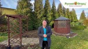 Подготовка гейхер и хост к зиме.