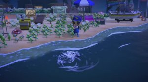 Акула-пилонос