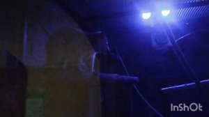 Зоопарк в Екатеринбурге/Мои цветочки