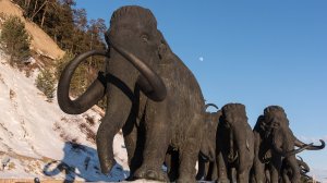 "Историческое наследие Югры". ТК «Первый Советский»