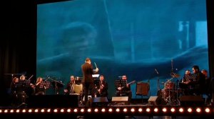 Концерт симфонического оркестра(г. Ростов-на-Дону).