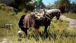 Обыкновенный фарм. Black Desert. Жизнь - игра.