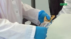 Башкортостан вошел в топ-5 регионов по развитию инноваций