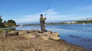 НАШЕЛ ,ГДЕ КЛЮЮТ ЗДОРОВЕННЫЕ ЛЕЩИ .ТРЕШКИ,ДВУШКИ,ПОЛТОРАШКИ.ЛОВЛЯ ЛЕЩА ОСЕНЬЮ НА РЕКЕ ВОЛХОВ.