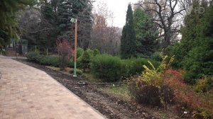 В Саратове завершается благоустройство ботанического сада