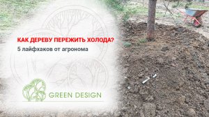 Как дереву пережить холода: 5 лайфхаков от агронома