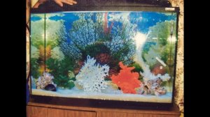 Аквадизайн "Псевдоморе".