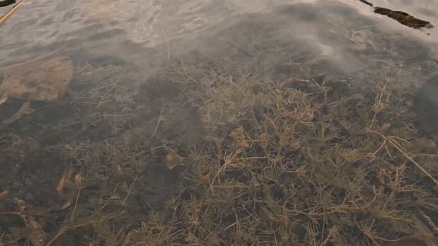 Озеро Мушан Ер, Марий эл.