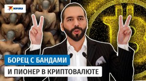 Президент и мастер соцсетей: кто такой Найиб Букеле