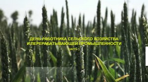 Торжественное мероприятие, посвященное Дню работника с/х и промышленности. Часть первая