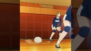 Семья Шпиона игра в волейбол