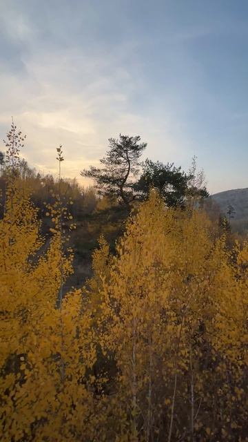 Осенний лес смотреть онлайн