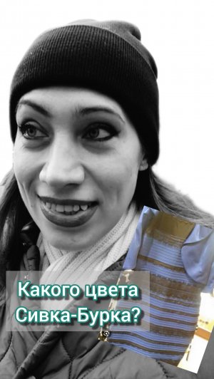 Какого цвета Сивка-Бурка?