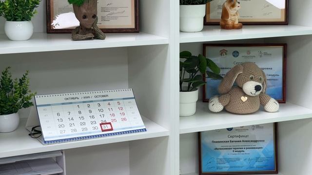 Шульга Анастасия Владимировна