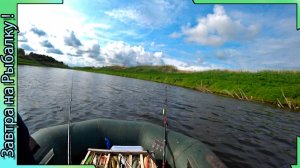 Щука / Раттлин и Зеленые берега пруда в Панинском районе Воронежа