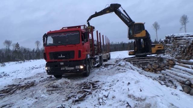 Всем Лесовозам Анатолий Полотно и Макс Вертиго