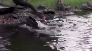 УТРО ИНГУШЕТИИ  101125