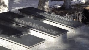 На мемориале УМВД России по Амурской области увековечили память сотрудников, погибших в зоне СВО