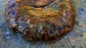 Прогуливаясь в горах нашли интересный камень, на что похожа камень