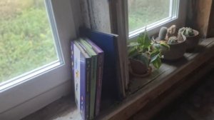 Разорила своё гнездо. На чаше весов...