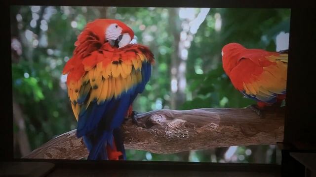 ПРОЕКТОР С ПОЛНЫМ ФАРШЕМ ЗА 6000 Everycom R16 смотреть онлайн