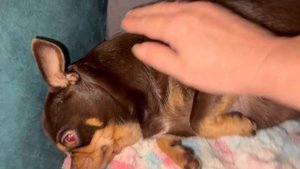 Всем самой доброй ночи и прекрасных снов.