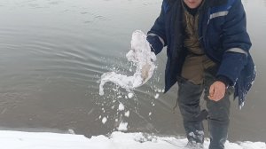 Проверка поставушек на налима Чумыш 7.11.25г.