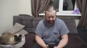 Поспал в домике на диване Набрался сил и начал читать сообщения на канале ПОДВАЛ ИЛЬИЧА