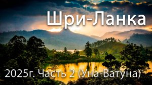 Шри-Ланка Октябрь 2025. Часть 2 - Уна-Ватуна