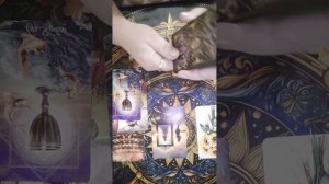 отношения ноябрь дева