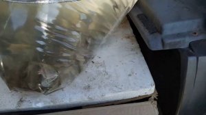 Почему уменьшился Московский птичий рынок?