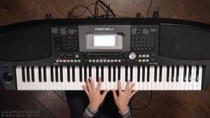 Синтезатор MEDELI AW830