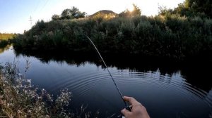 Этот спиннинг может позволить даже школьник!