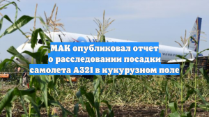 МАК опубликовал отчет о расследовании посадки самолета А321 в кукурузном поле