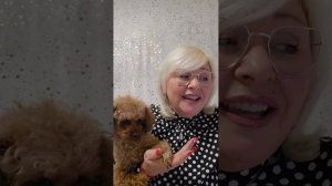 МЫ ИЗ ДЕРЕВНИ РОДОМ