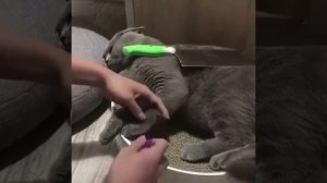 Проверенный метод