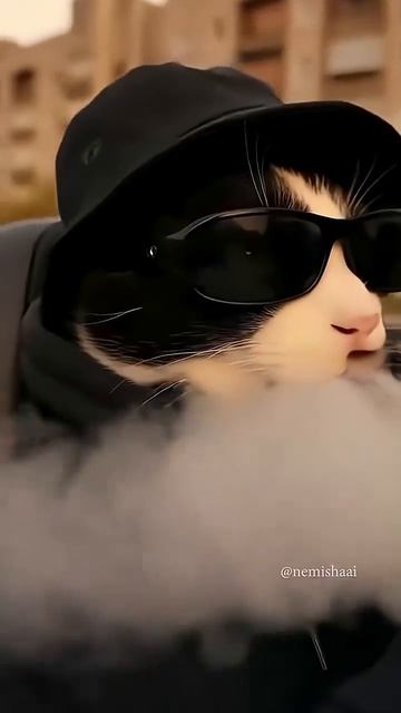 мур мур кот смотреть онлайн