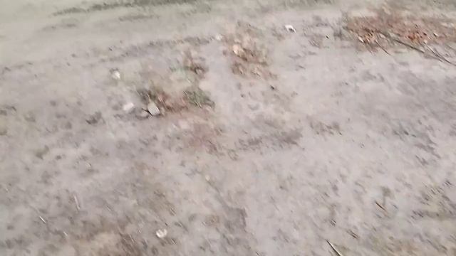 Санёк предал нас и снова стал маньяком. Нашли похороненного маньяка призрака?